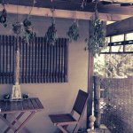 11111303_360007777538379_1126622439_a