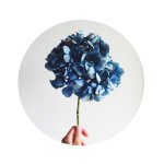 11176147_446079265558752_835112845_a