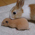 10919748_698346220283440_1125655279_a