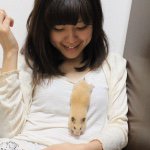 11296866_1610320729252328_553570442_a