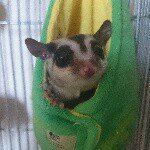 11350783_1589508864649229_1006478422_a