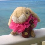 10848114_768149469927177_1556105949_a