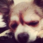 10561078_676351675785541_466066029_a