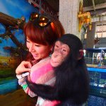 11184449_343240575885547_1740594270_a