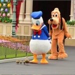 10518147_819196158114027_1936743886_a