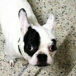 929171_801330239918377_841524704_a