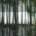 11326506_1597954707140912_2008294457_a