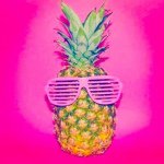 11098507_365580150319005_1409902145_a