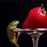 11007950_836937479686473_1572269484_a