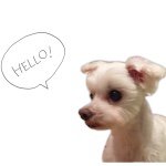 11375929_766816510098055_1327637542_a