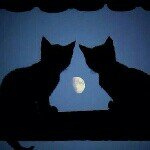 927374_537146416407735_711559698_a