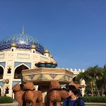 11379161_877603115653193_1225361052_a