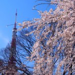 10387838_703098966466334_1846751496_a