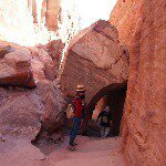 11386566_1600810616860081_203854966_a