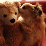 10949014_836024276436049_1346373786_a