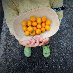 11094483_384382165078609_1105703158_a