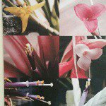 11176336_1632799650286992_1866474338_a