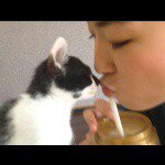 11382926_868056519953768_1674381386_a