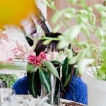 10570138_266067000266949_1156375434_a