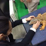 11380996_1447252942241800_526765602_a