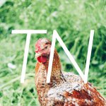 10948796_1473766116177447_741451327_a