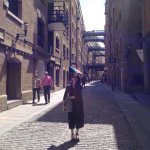 11379875_467031953474873_153628153_a