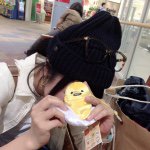 11427387_378944575638391_819387110_a