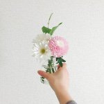 10914448_791950797561134_1263095159_a