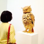 11311386_468221240004599_223991303_a