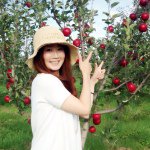 10691906_289449457928042_1728537455_a