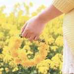 11326285_1602839989974391_1086276978_a