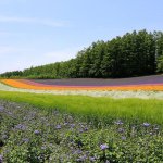 10691908_886009958095204_1405916417_a