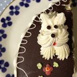 11381868_1663544207213224_1926713143_a