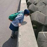 11376654_429507840554891_964674001_a