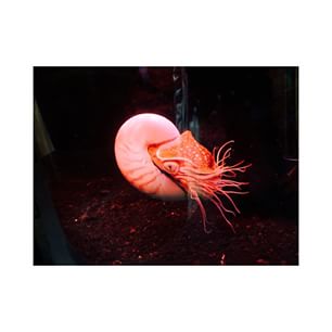 10362210_832023473501149_371255607_n