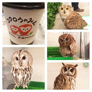 11055835_862961270435553_1818934473_n