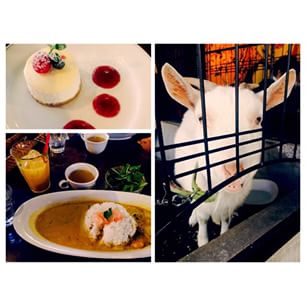 10903383_636778453100584_303069682_n