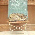 10802996_772367702836123_798969960_a