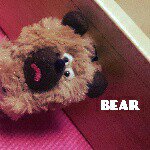 11335821_663481907116376_1545907026_a