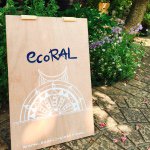 11375983_824521117597459_1055024199_a