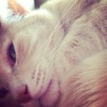 Profile_498015008_75sq_1390837062