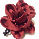 10683872_400925426728283_1666274315_a