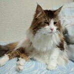 10326636_280062588842023_454949341_a