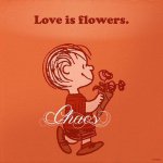 11033048_359019607625988_36191211_a