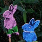 10561094_1455048878088431_1872818194_a