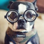 Profile_23053661_75sq_1378906039