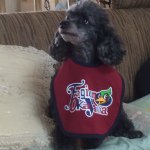 926535_1691973057694005_106456441_a