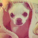 Profile_212118015_75sq_1399135600