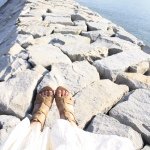 10475053_1448252788763691_1067701670_a