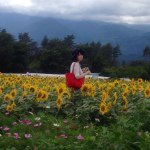 10654927_727639993973273_1832042274_a